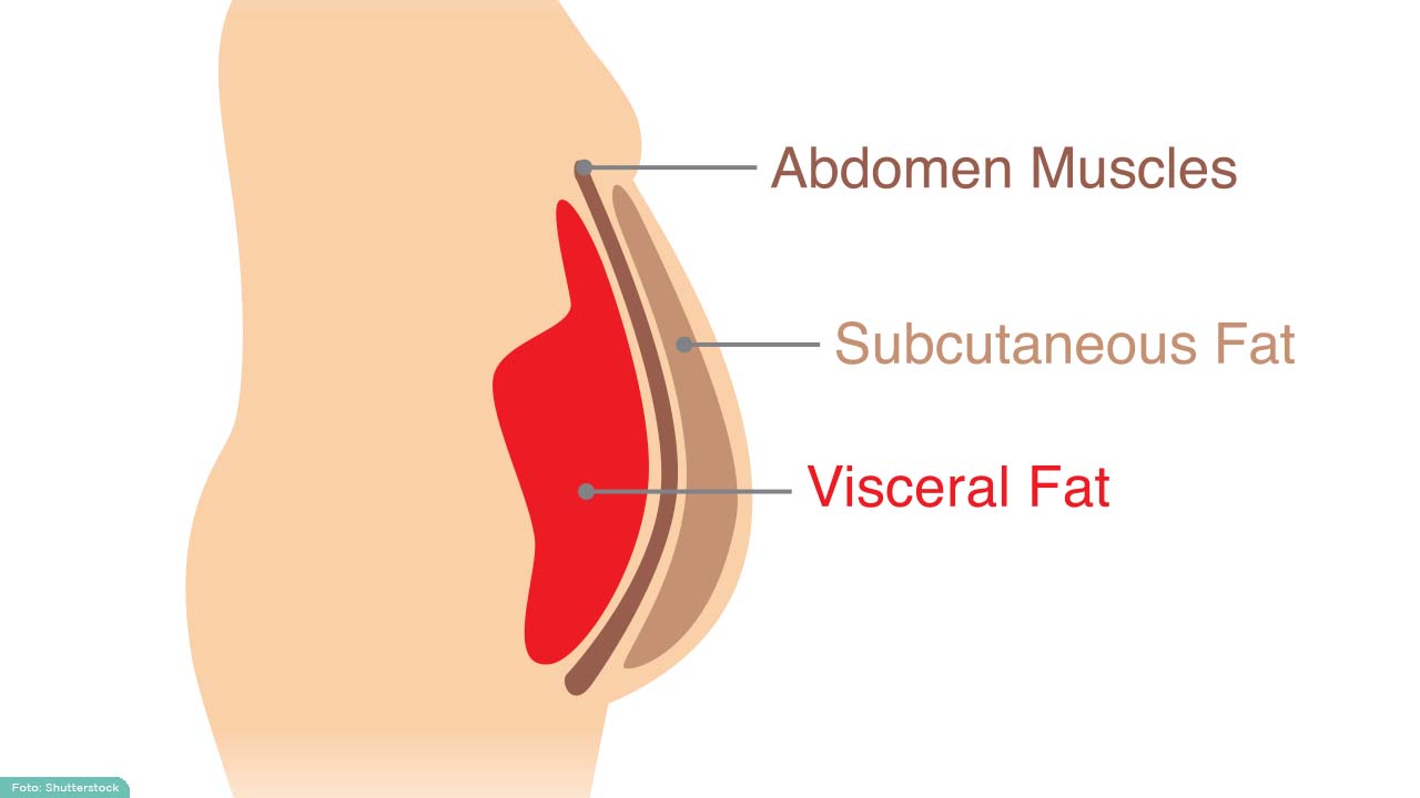 jenis-lemak-perut-heystetik